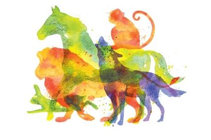 动物冠状病毒有哪些？