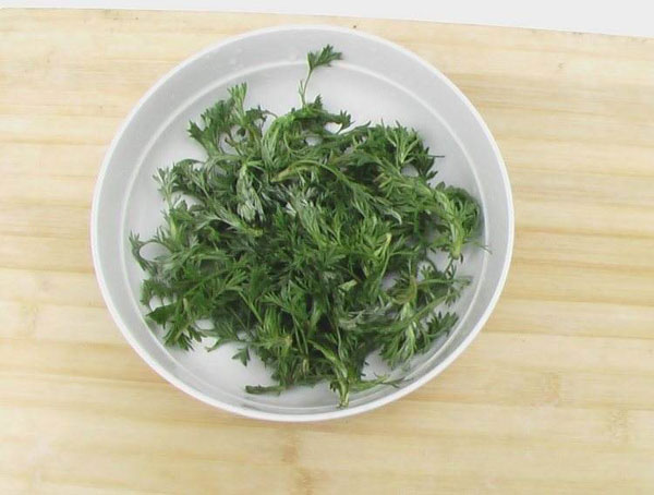 茵陈（白蒿,绒蒿,松毛艾）的功效与作用和食用方法