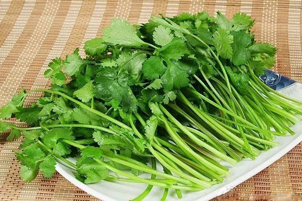 香菜