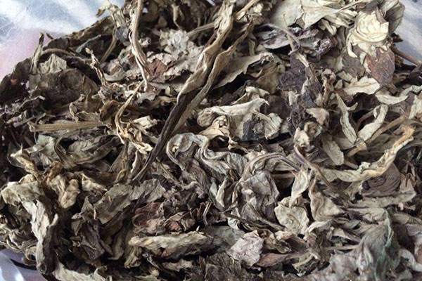 干艾叶市场价格多少钱一斤？干艾叶怎么保存？